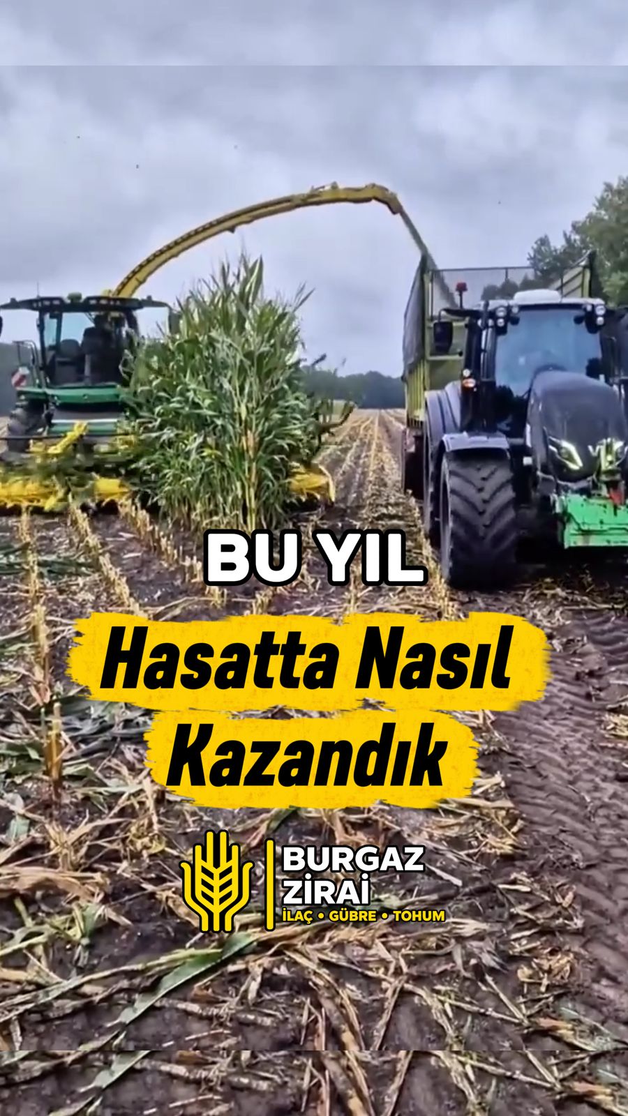 Mısır hasadında silaj makinesi ve römork